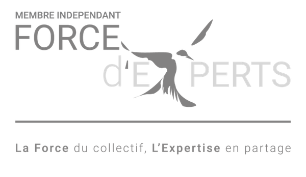 Logo du collectif FORCE EXPERT, collectif d’experts-comptables indépendant
